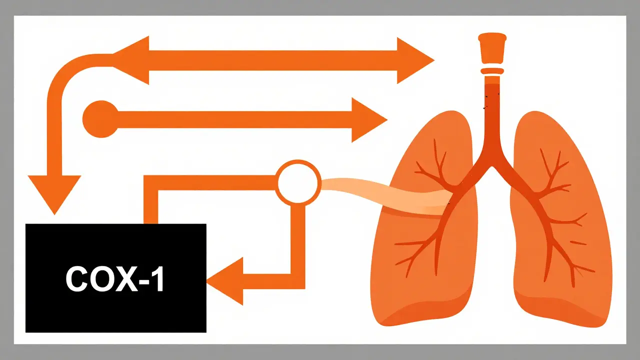 Abstract geometric diagram showing the biochemical pathway of leukotriene overproduction.